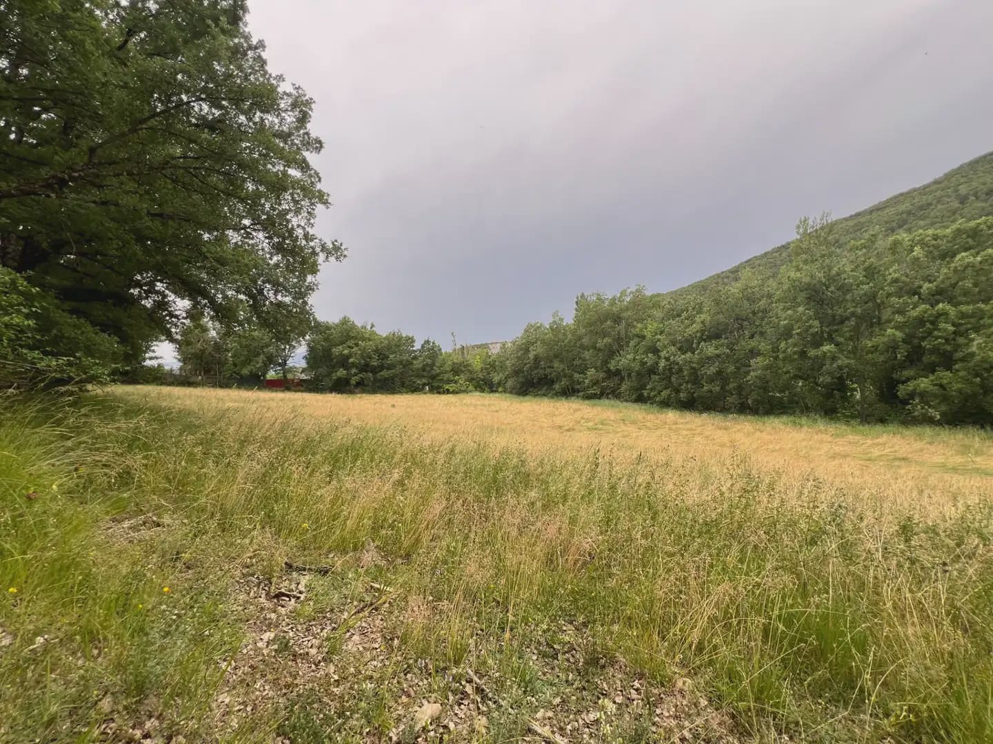 Terreno Não Urbanizado para venda em Jasa - 54 000 € (Ref: 9963514)