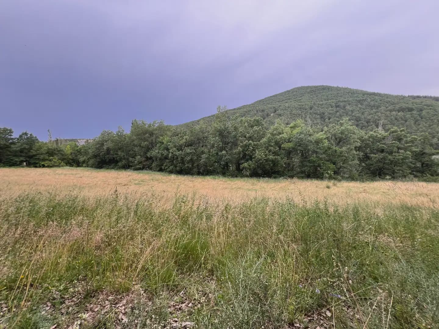 Terreno Não Urbanizado para venda em Jasa - 54 000 € (Ref: 9963514)
