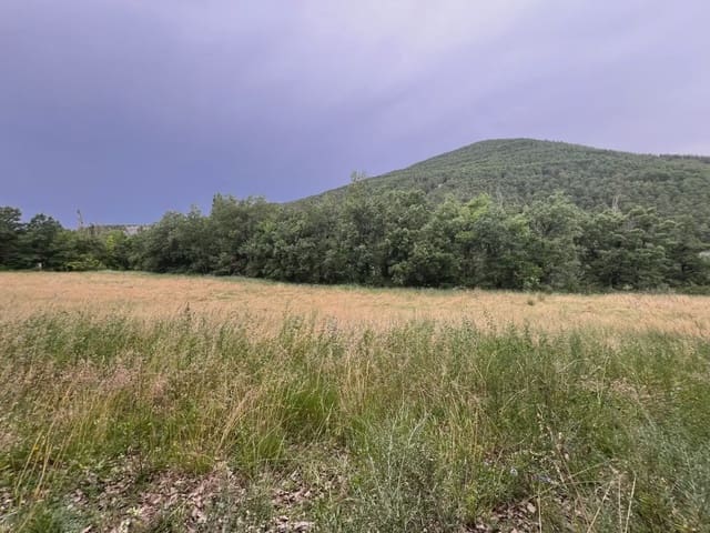 Undeveloped Land for sale in Jasa - € 54,000 (Ref: 9963514)