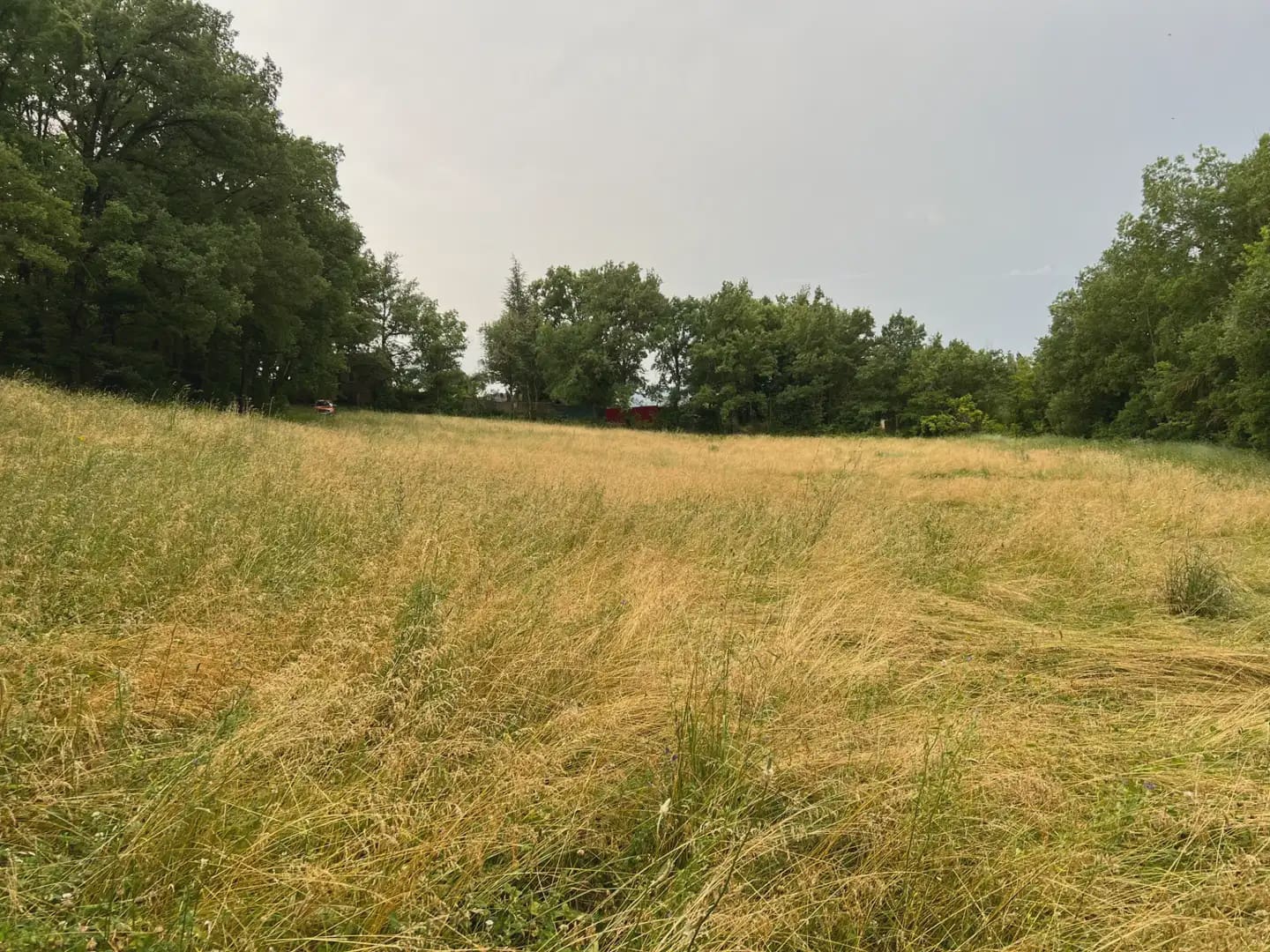 Terreno Não Urbanizado para venda em Jasa - 54 000 € (Ref: 9963514)
