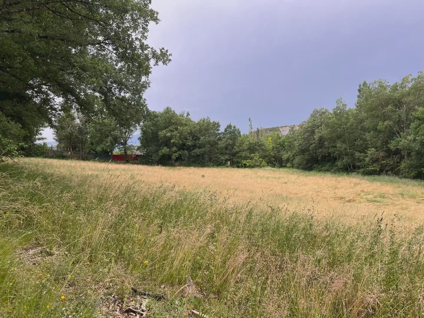 Terreno Não Urbanizado para venda em Jasa - 54 000 € (Ref: 9963514)