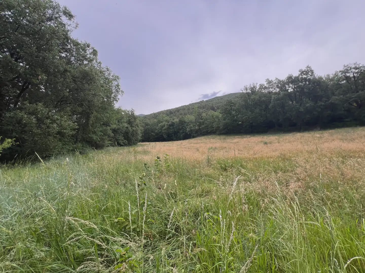 Terreno Não Urbanizado para venda em Jasa - 54 000 € (Ref: 9963514)