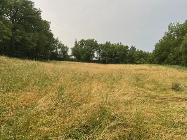 Undeveloped Land for sale in Jasa - € 54,000 (Ref: 9963514)