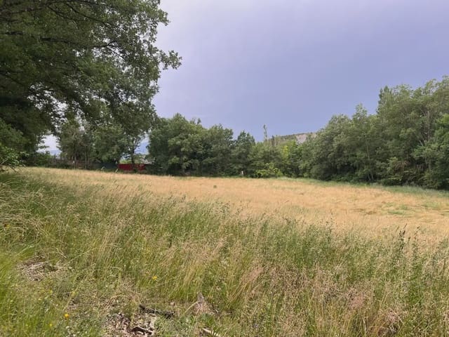 Undeveloped Land for sale in Jasa - € 54,000 (Ref: 9963514)