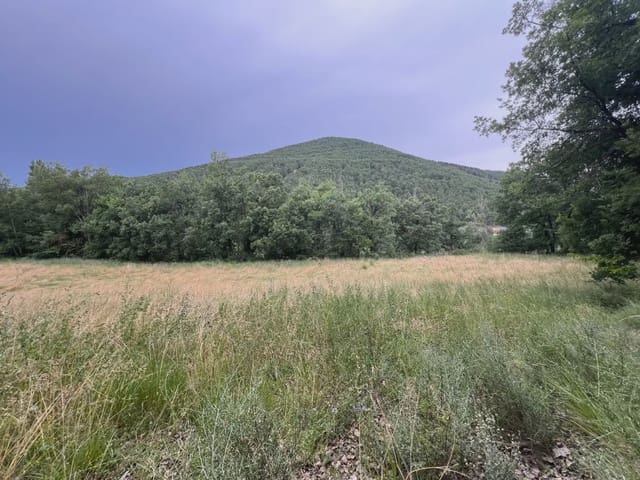 Undeveloped Land for sale in Jasa - € 54,000 (Ref: 9963514)
