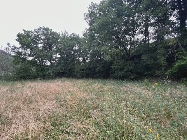 Undeveloped Land for sale in Jasa - € 54,000 (Ref: 9963514)