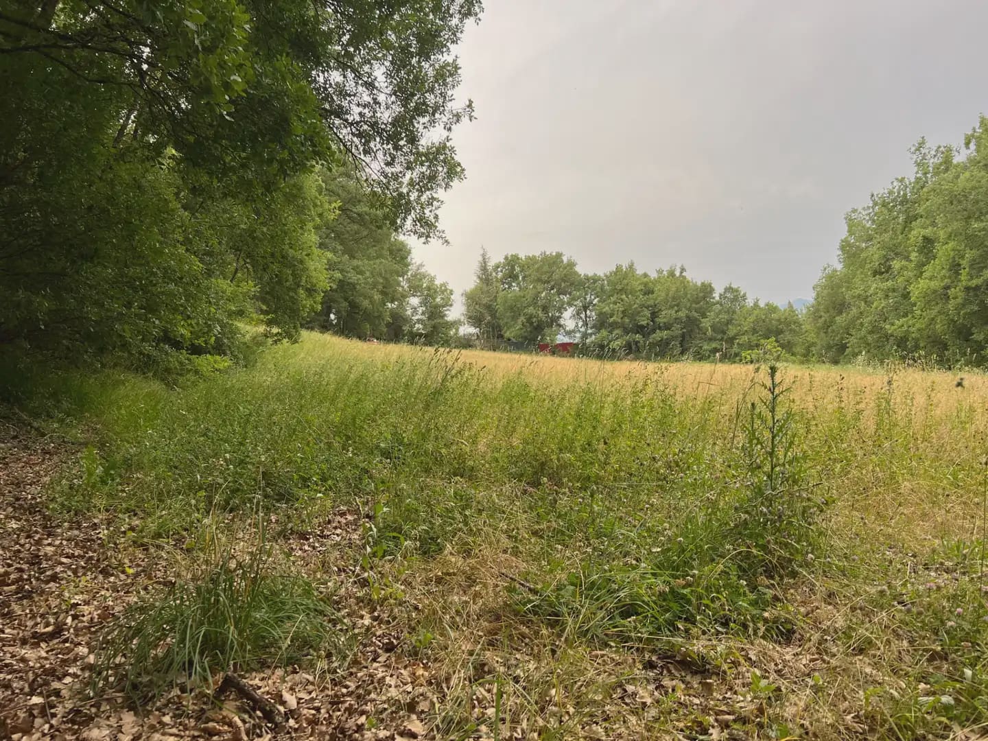 Terreno Não Urbanizado para venda em Jasa - 54 000 € (Ref: 9963514)