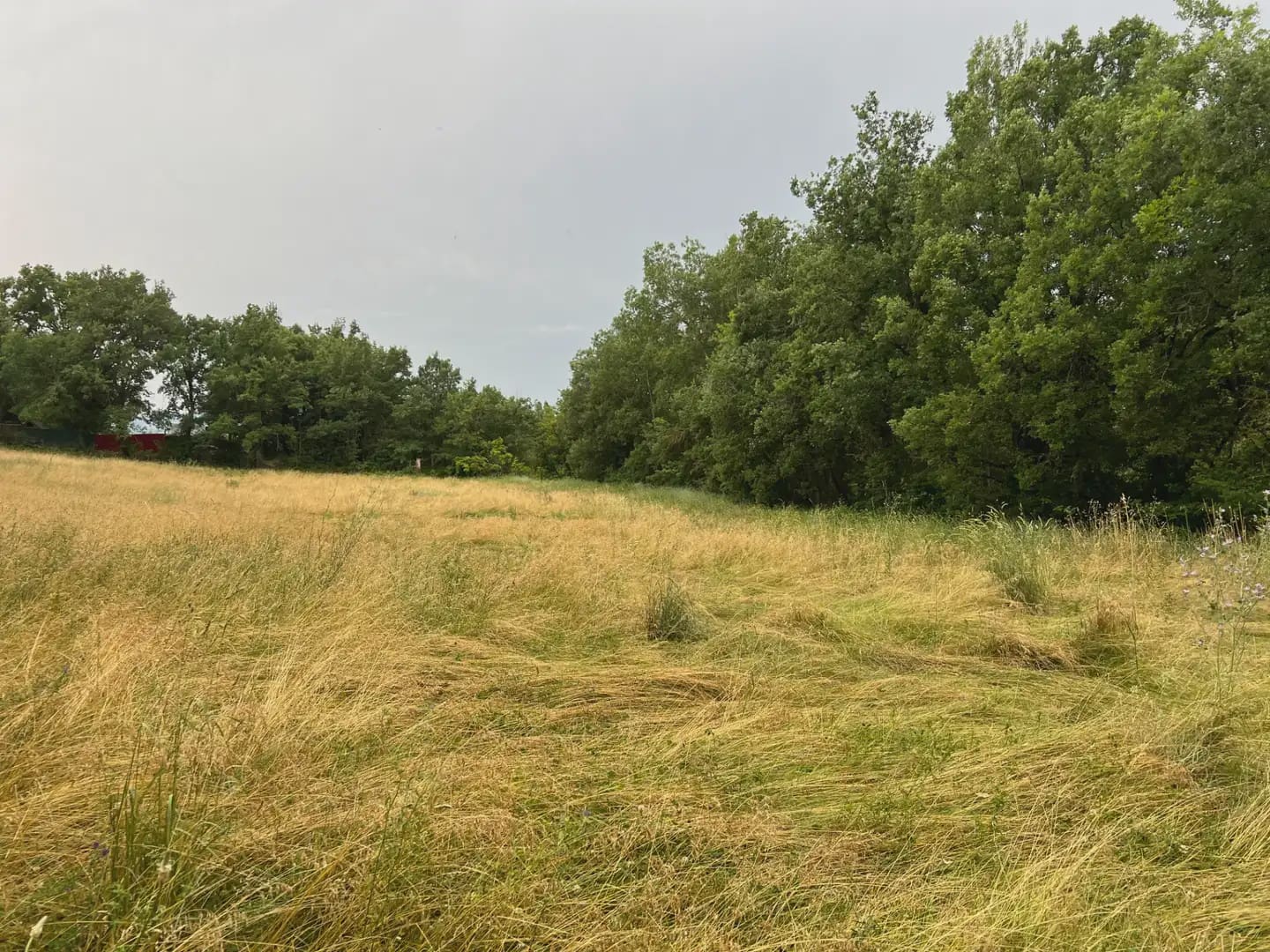 Terreno Não Urbanizado para venda em Jasa - 54 000 € (Ref: 9963514)