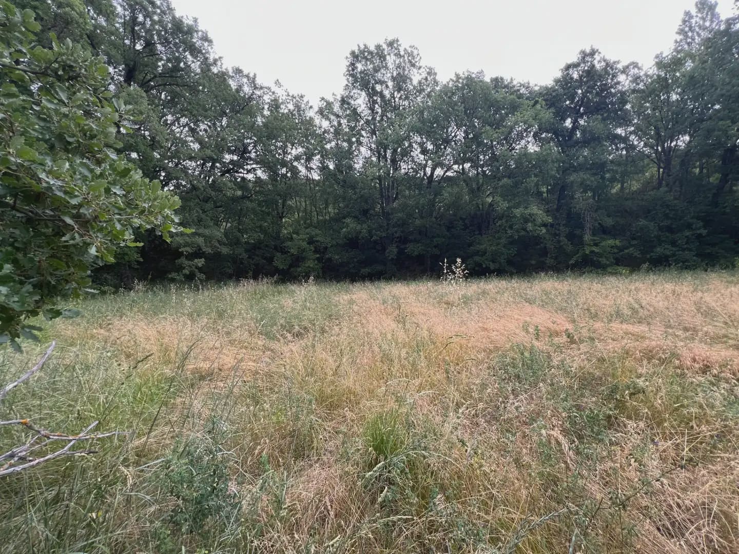 Terreno Não Urbanizado para venda em Jasa - 54 000 € (Ref: 9963514)