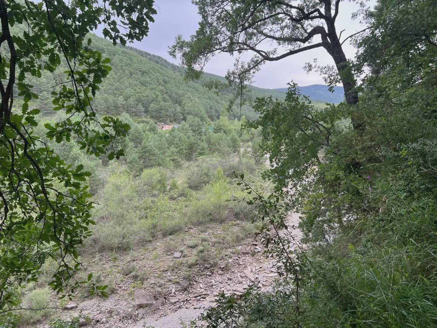 Terreno Não Urbanizado para venda em Jasa - 54 000 € (Ref: 9963514)