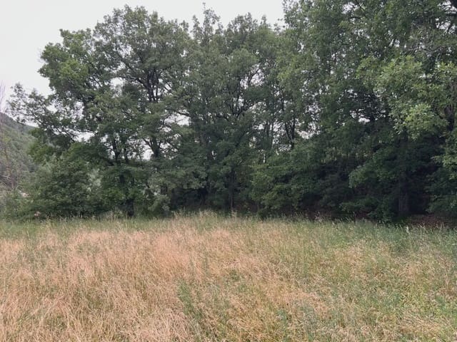 Undeveloped Land for sale in Jasa - € 54,000 (Ref: 9963514)