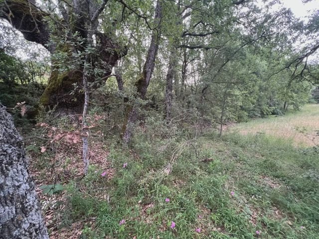 Undeveloped Land for sale in Jasa - € 54,000 (Ref: 9963514)