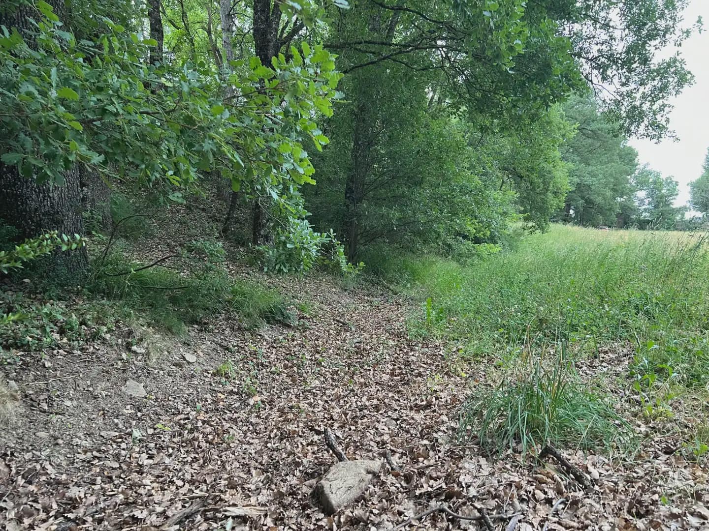 Terreno Não Urbanizado para venda em Jasa - 54 000 € (Ref: 9963514)