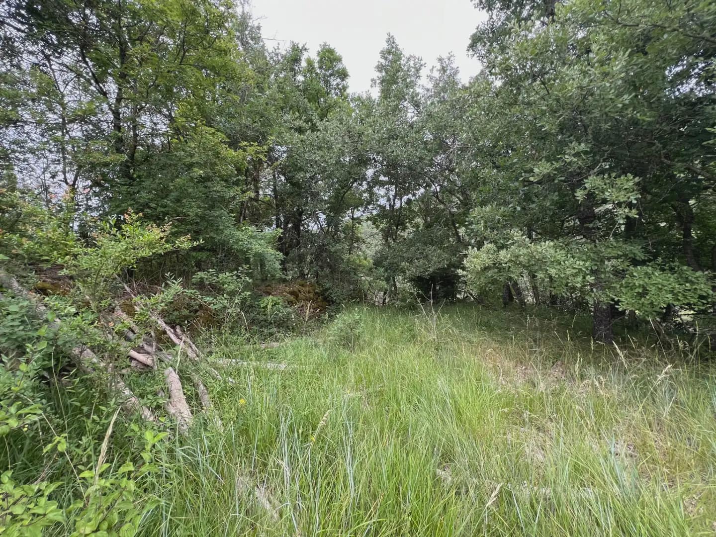 Terreno Não Urbanizado para venda em Jasa - 54 000 € (Ref: 9963514)