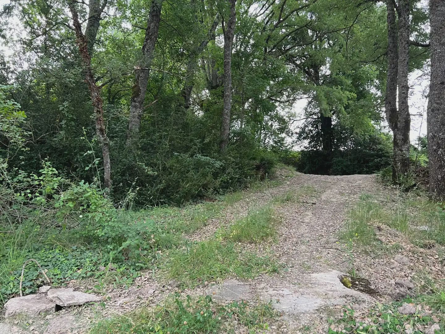 Terreno Não Urbanizado para venda em Jasa - 54 000 € (Ref: 9963514)