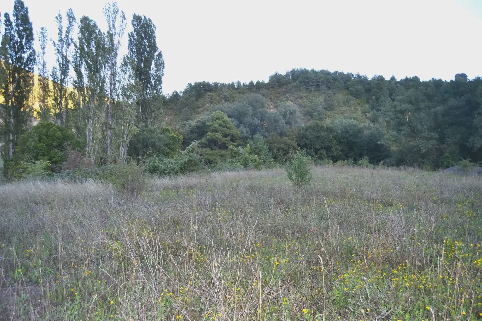 Finca/Casa Rural de 2 habitaciones en Santa Cruz de la Serós en venta - 250.000 € (Ref: 9963516)