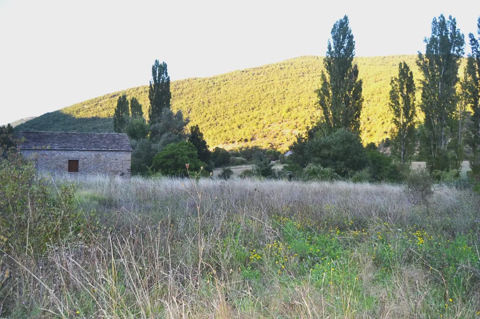 Finca/Casa Rural de 2 habitaciones en Santa Cruz de la Serós en venta - 250.000 € (Ref: 9963516)