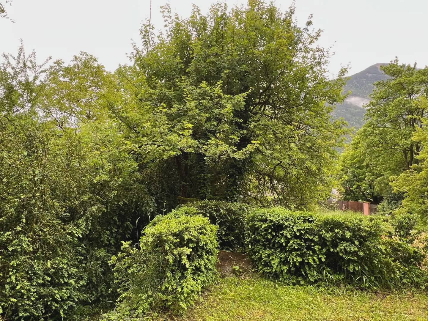 3 soveværelse Villa til salg i Broto - € 650.000 (Ref: 9963521)