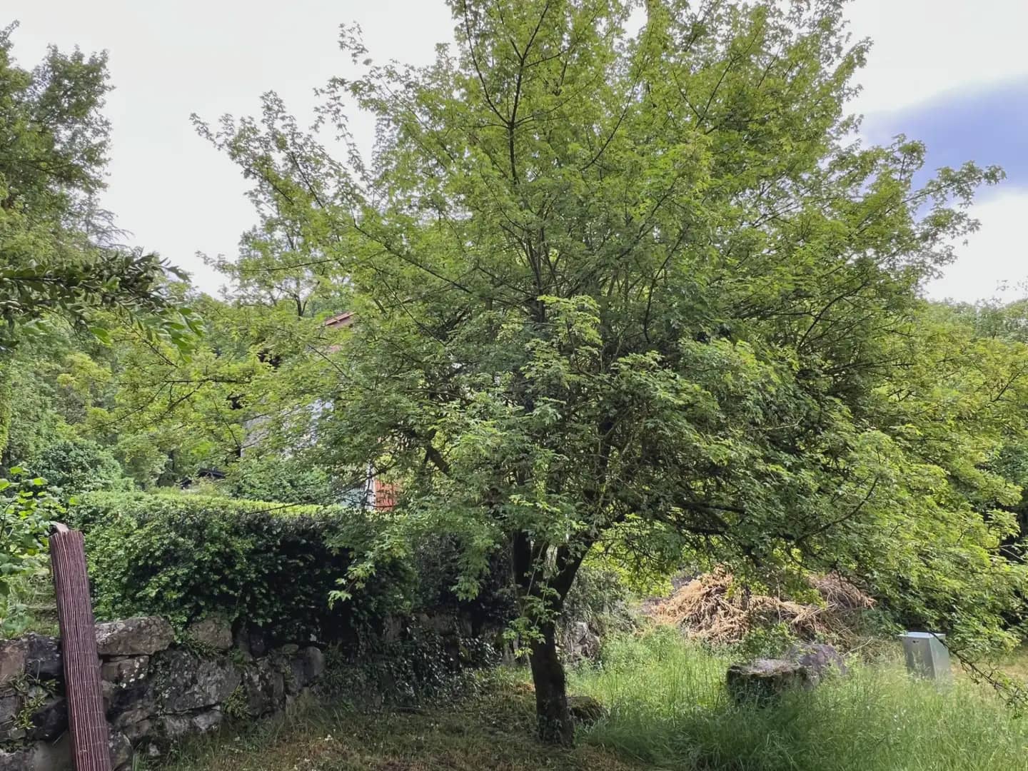 3 soveværelse Villa til salg i Broto - € 650.000 (Ref: 9963521)