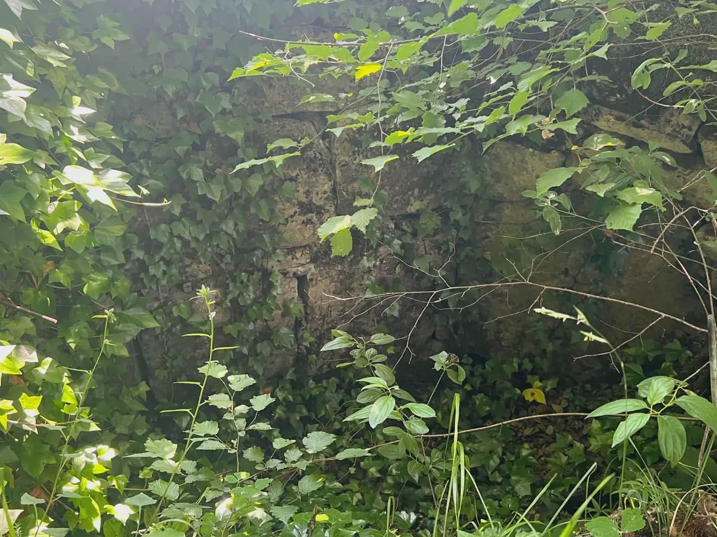 Finca/Country House for sale in Broto - € 110,000 (Ref: 9963529)
