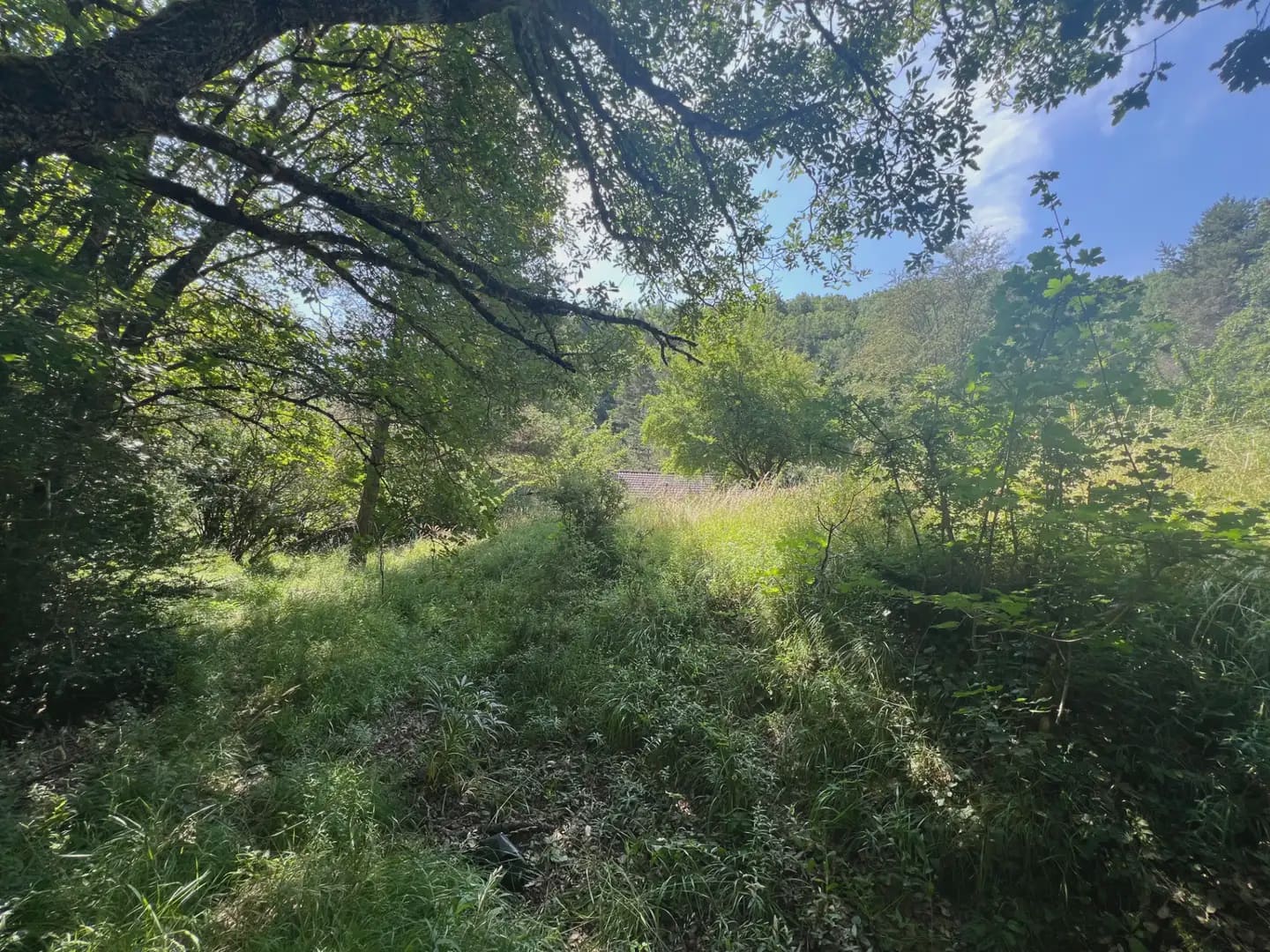 Finca/Country House for sale in Broto - € 110,000 (Ref: 9963529)