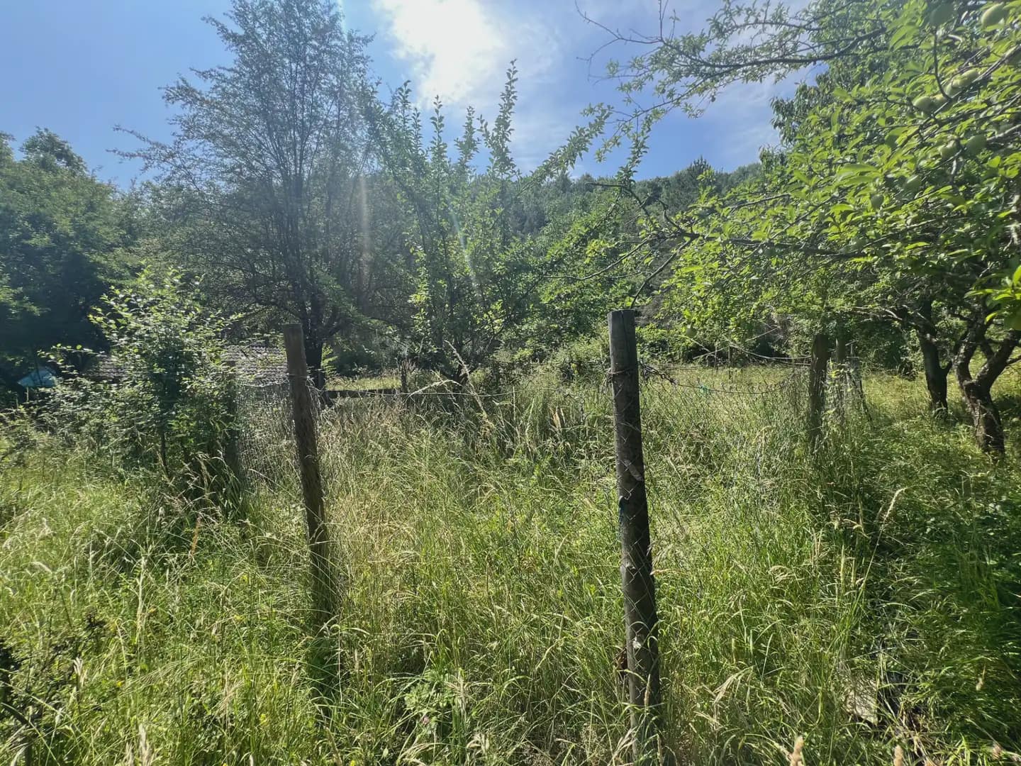 Finca/Country House for sale in Broto - € 110,000 (Ref: 9963529)