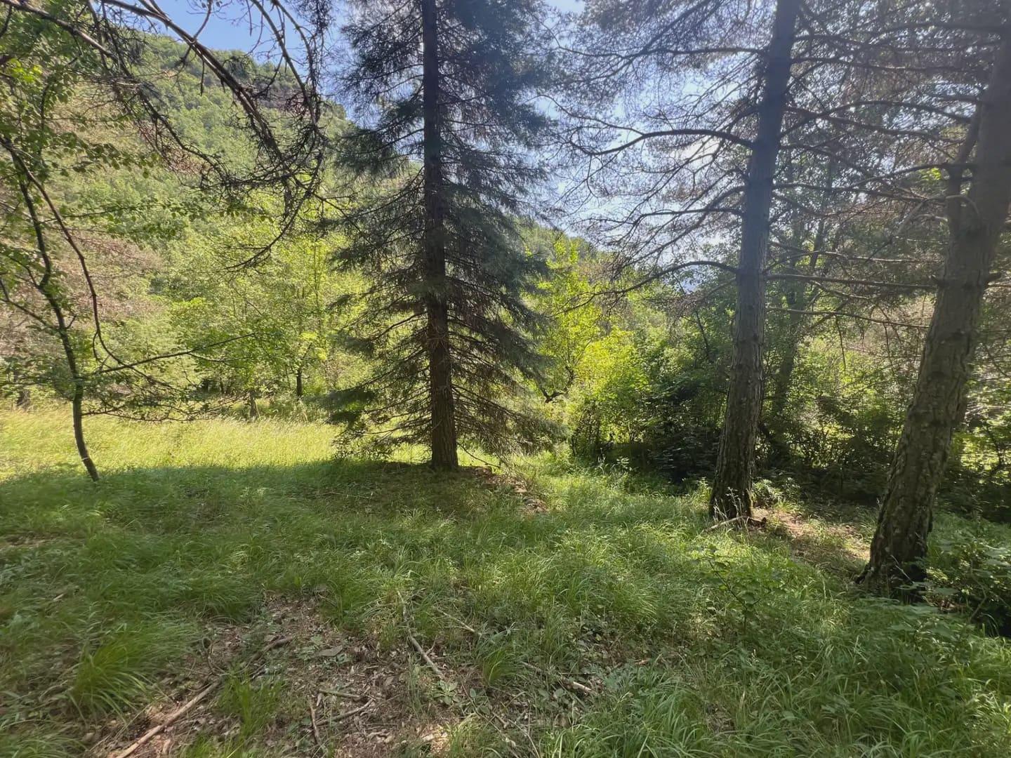 Finca/Country House for sale in Broto - € 110,000 (Ref: 9963529)