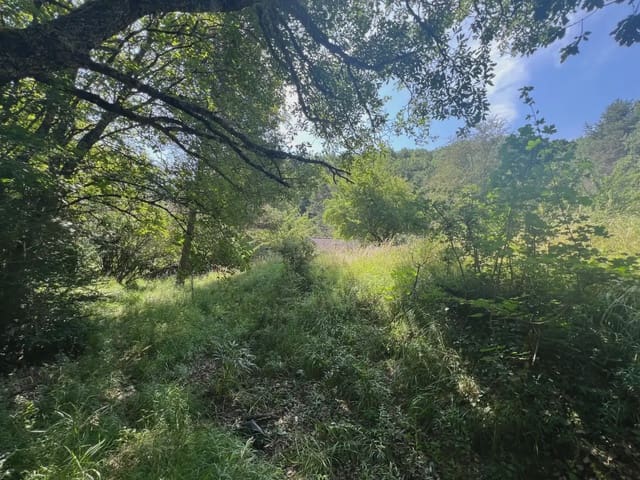 Finca/Country House for sale in Broto - € 110,000 (Ref: 9963529)