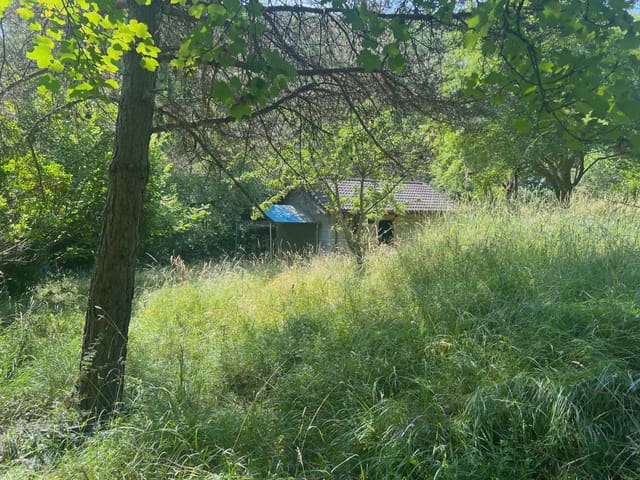 Finca/Country House for sale in Broto - € 110,000 (Ref: 9963529)