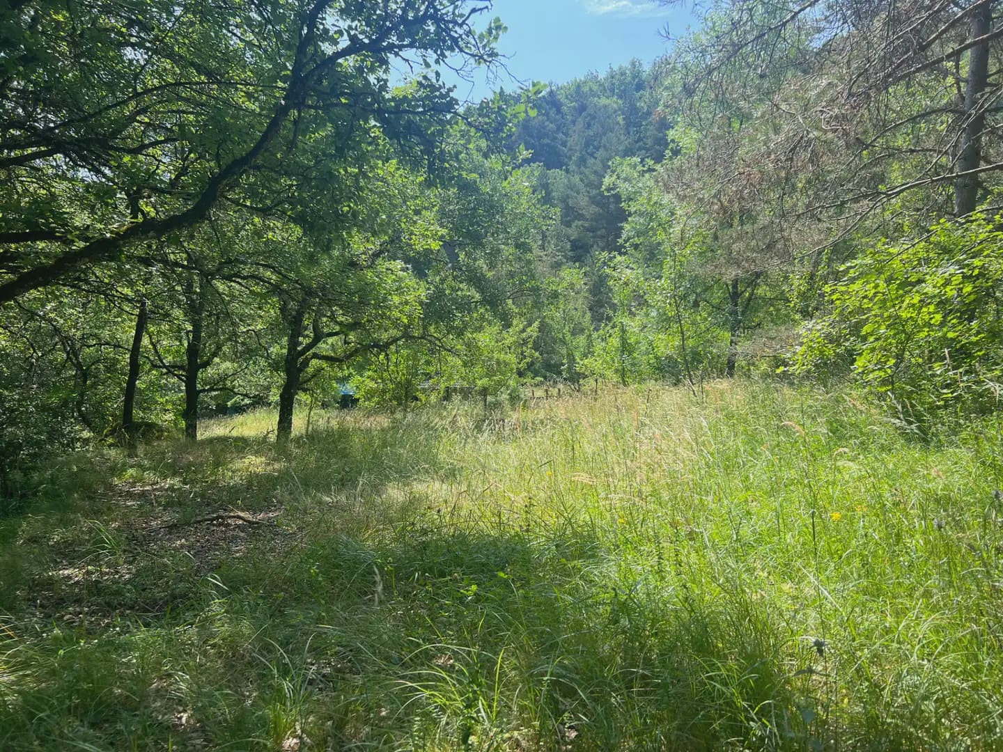 Finca/Country House for sale in Broto - € 110,000 (Ref: 9963529)