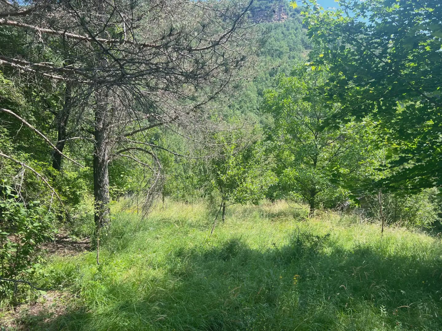 Finca/Country House for sale in Broto - € 110,000 (Ref: 9963529)