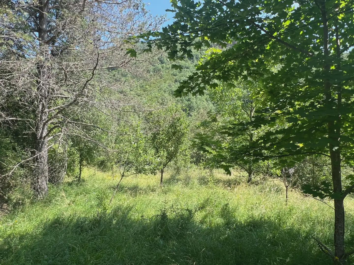 Finca/Country House for sale in Broto - € 110,000 (Ref: 9963529)