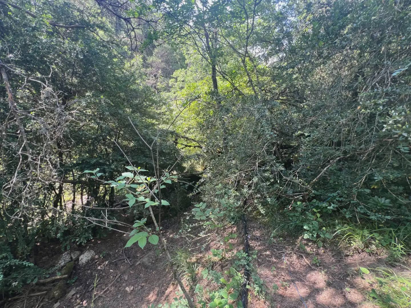 Finca/Country House for sale in Broto - € 110,000 (Ref: 9963529)
