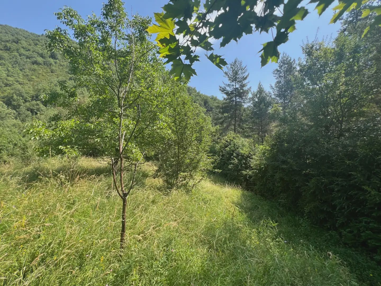 Finca/Country House for sale in Broto - € 110,000 (Ref: 9963529)