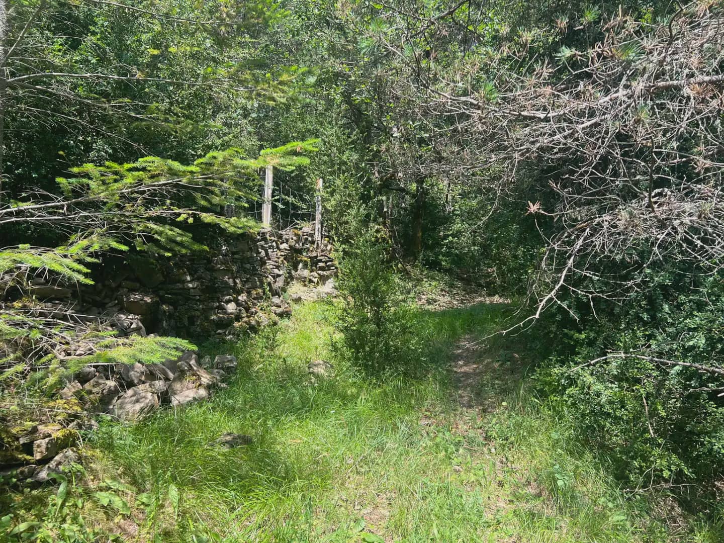 Finca/Country House for sale in Broto - € 110,000 (Ref: 9963529)