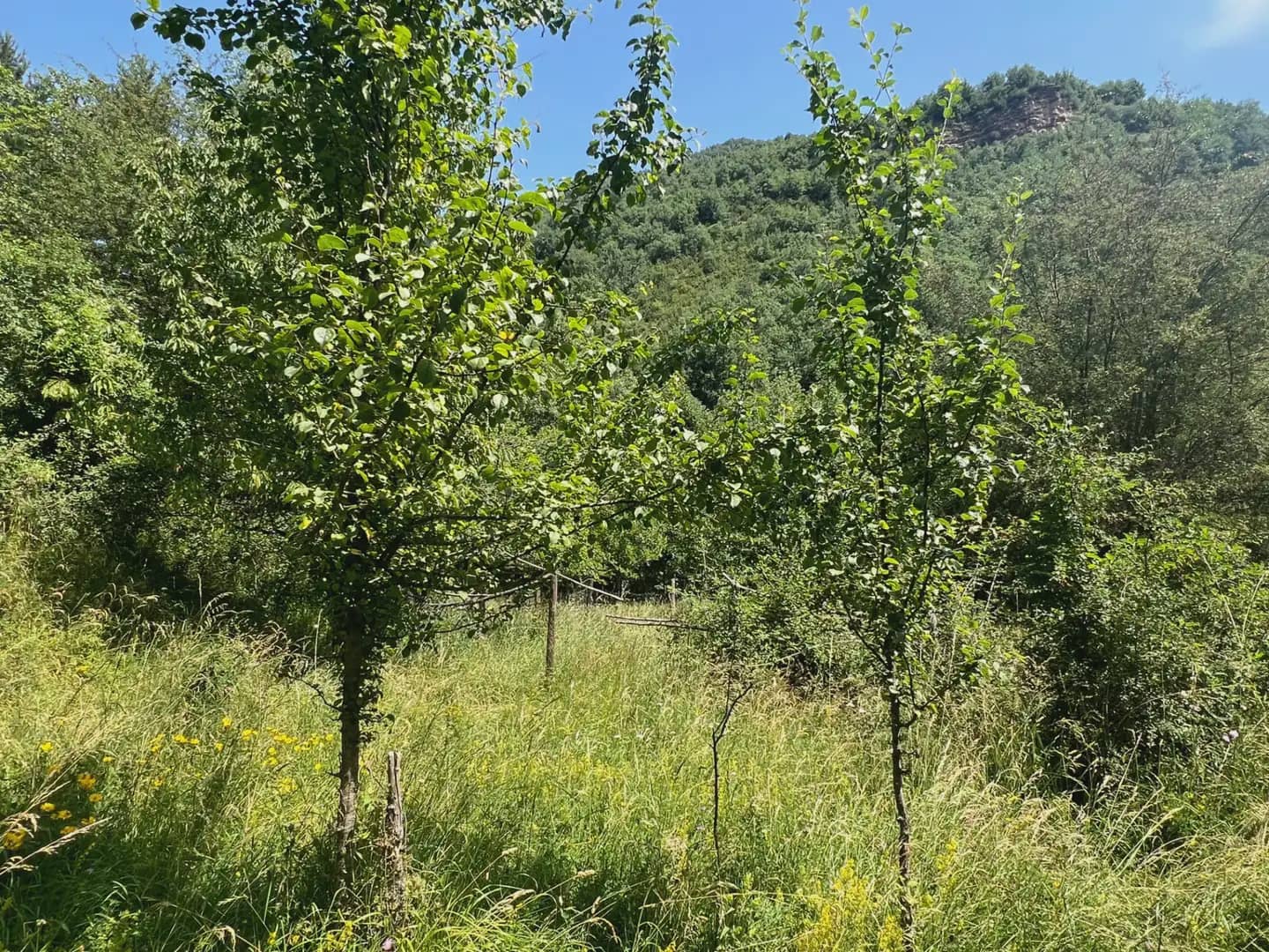 Finca/Country House for sale in Broto - € 110,000 (Ref: 9963529)
