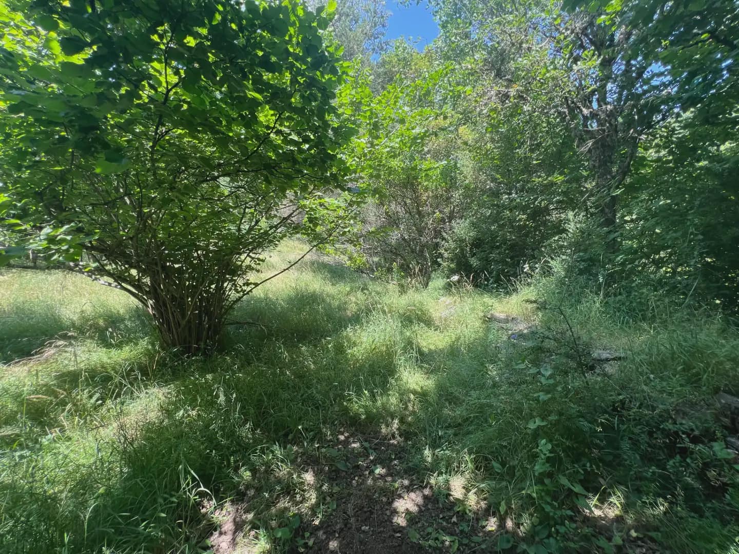 Finca/Country House for sale in Broto - € 110,000 (Ref: 9963529)