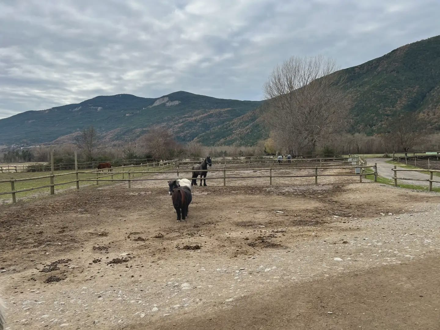 Finca/Country House for sale in Biescas - € 1,800,000 (Ref: 9963532)