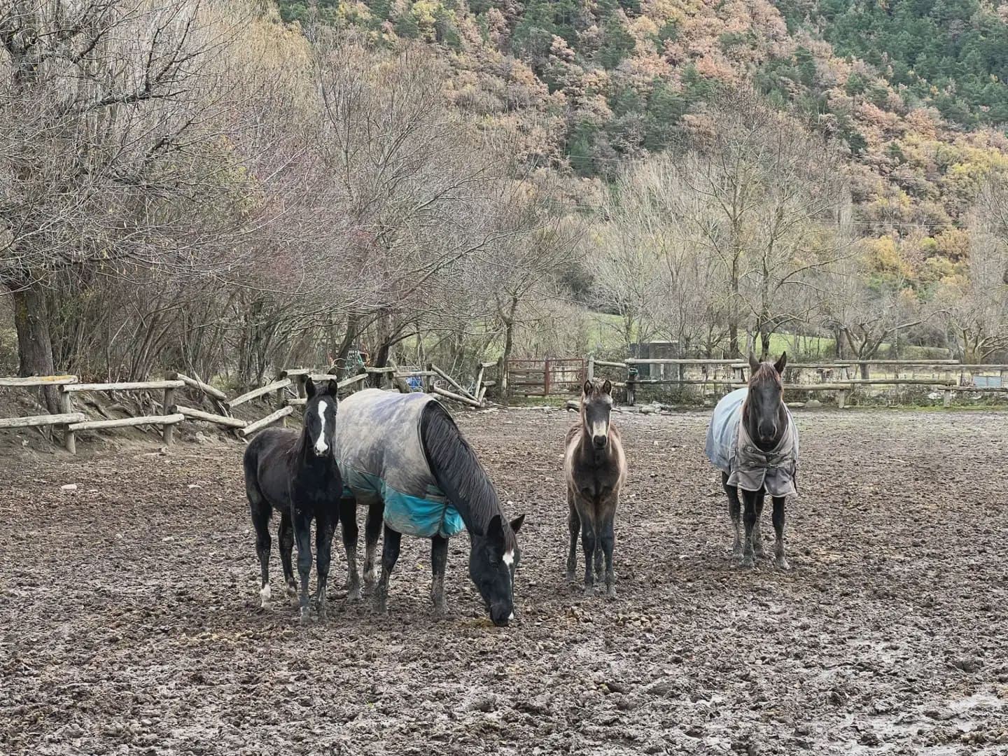 Finca/Country House for sale in Biescas - € 1,800,000 (Ref: 9963532)