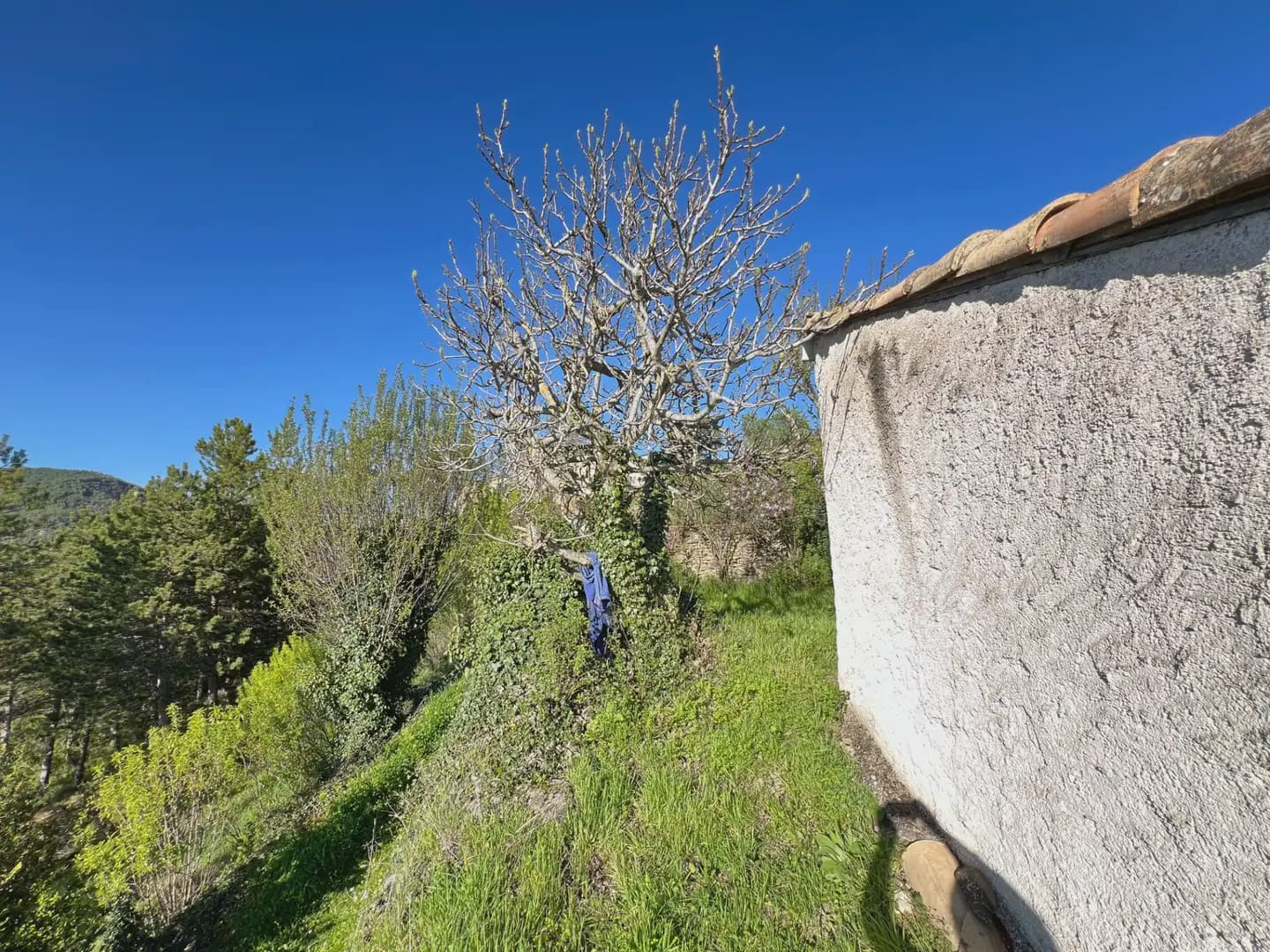 4 bedroom Finca/Country House for sale in Canal de Berdun - € 168,000 (Ref: 9963535)
