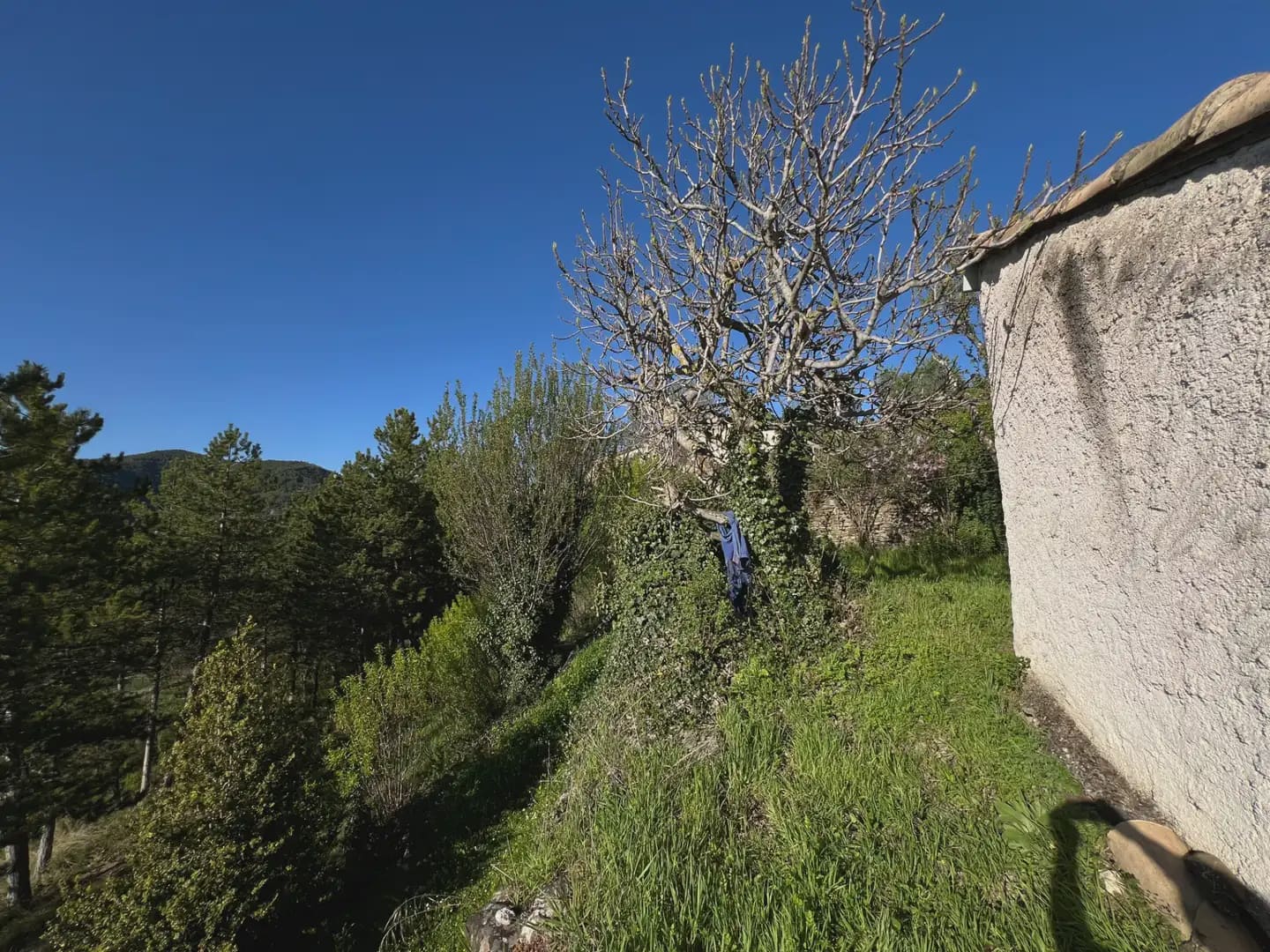 4 bedroom Finca/Country House for sale in Canal de Berdun - € 168,000 (Ref: 9963535)
