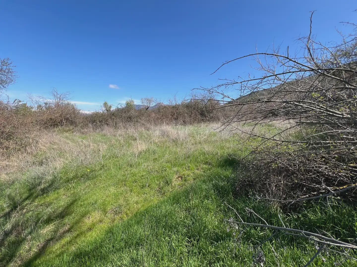 Terreno Não Urbanizado para venda em Bailo - 53 000 € (Ref: 9963536)