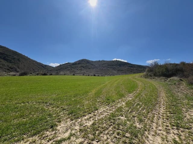 Undeveloped Land for sale in Bailo - € 53,000 (Ref: 9963536)