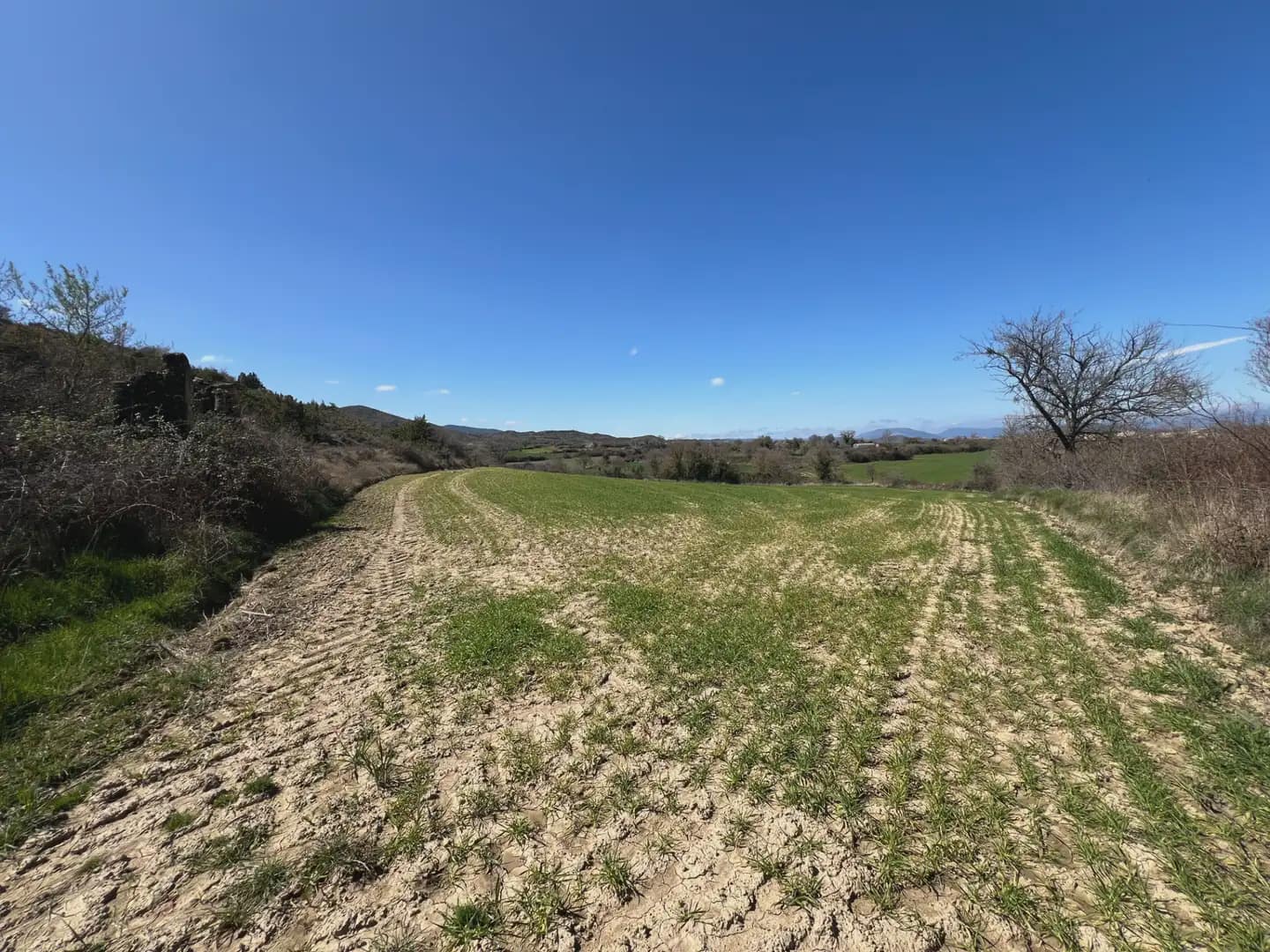 Terreno Não Urbanizado para venda em Bailo - 53 000 € (Ref: 9963536)