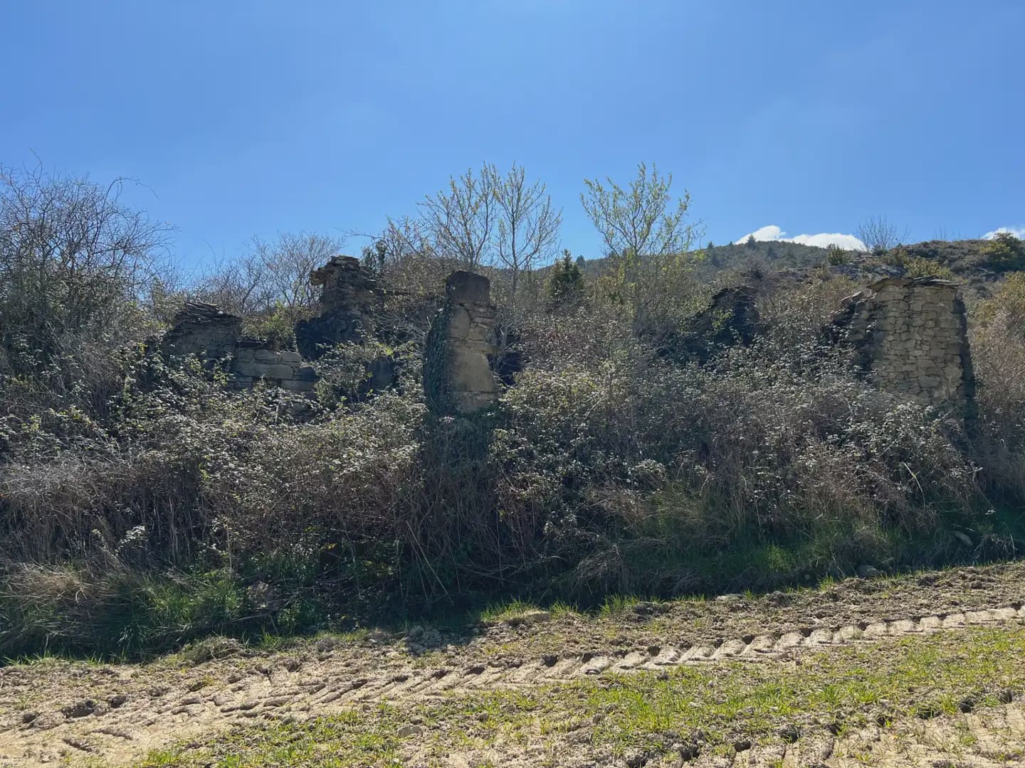 Terreno Não Urbanizado para venda em Bailo - 53 000 € (Ref: 9963536)