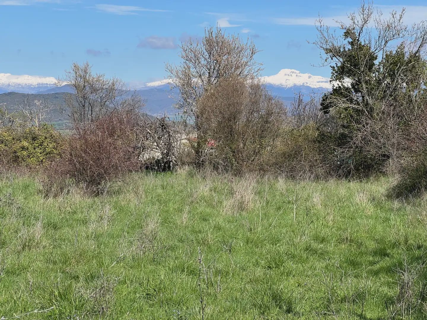 Terreno Não Urbanizado para venda em Bailo - 53 000 € (Ref: 9963536)