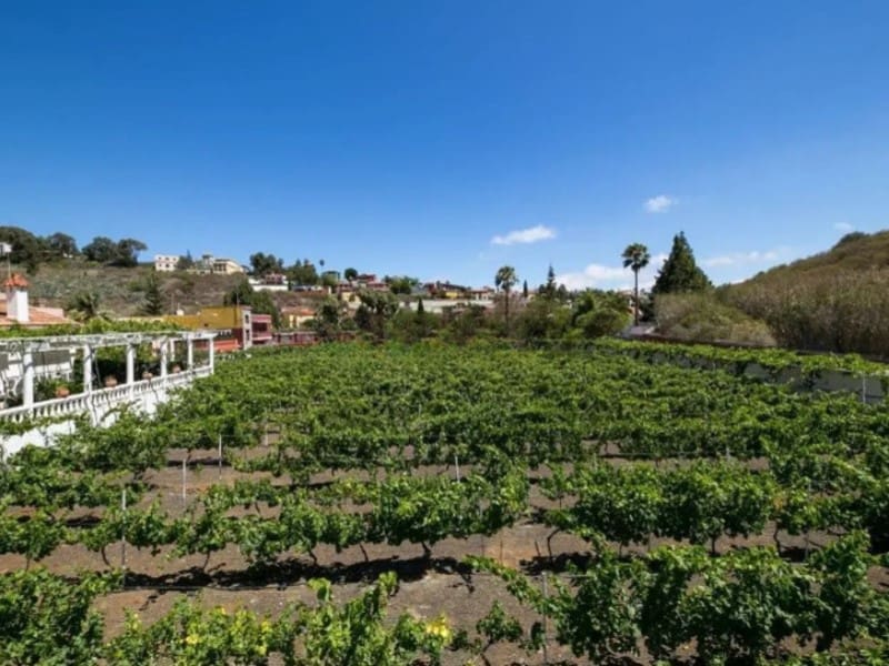 5 camera da letto Finca/Casa di Campagna in vendita in Santa Brigida - 780.000 € (Rif: 9640534)