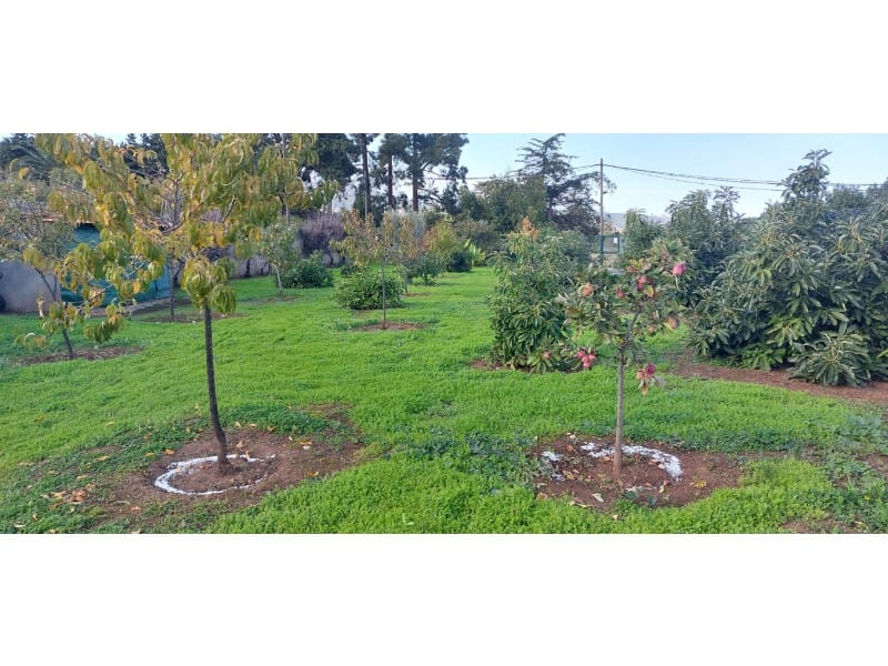 3 camera da letto Finca/Casa di Campagna in vendita in Santa Brigida con piscina garage - 349.500 € (Rif: 9640539)