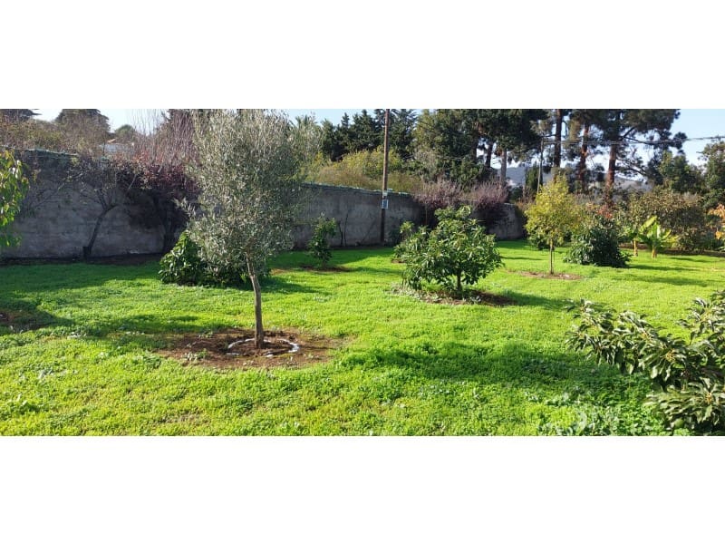 3 camera da letto Finca/Casa di Campagna in vendita in Santa Brigida con piscina garage - 349.500 € (Rif: 9640539)