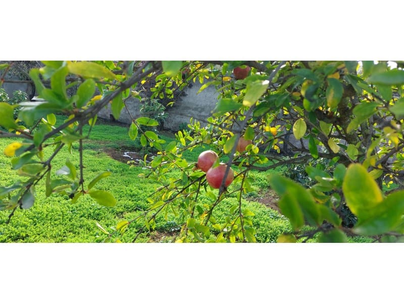 3 camera da letto Finca/Casa di Campagna in vendita in Santa Brigida con piscina garage - 349.500 € (Rif: 9640539)